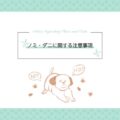 ノミ・ダニに関する注意事項