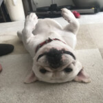 ⑥ 華子ちゃん「ね、寝てる!?」