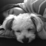 ⑰ きゅうりちゃん「春休み」