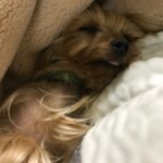 ④ そらちゃん
「最高の爆睡」