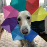 ② クロエちゃん「折り紙・・・素敵でしょ♡」