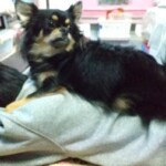 ㊸小空ちゃん「楽」