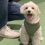 ⑯紅葉ちゃん「楽」