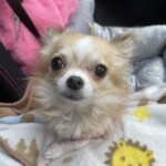 ㊴めいちゃん「喜」