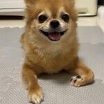 ⑲ココちゃん「喜」