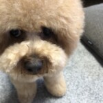 ㊺jillちゃん「怒」