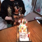 もえ
「お誕生日おめでとう」
