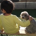 ちあき
「夕日にさそわれて」