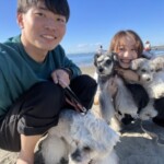 まい
「家族旅行」