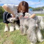 まい
「家族旅行」