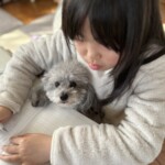 あかね
「お勉強してください!!」