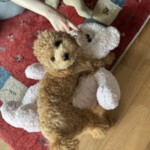 ㉕ひまわりちゃん
「くまちゃん🐻わたちの勝ちよ」