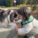 ④チェケちゃん
「大好きだよ」