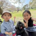 ⑨ディアンちゃん
「家族でお花見」