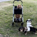 ㉑なぎちゃん
「Park Family(8)」