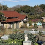 ⑯チャチャちゃん
「収穫待ち」