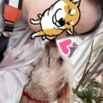 ⑤芽ちゃん
「相思相愛」