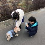 ①ももちゃん
「大好きなお姉ちゃんとお兄ちゃん」