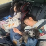 ㉖くろまめちゃん
「ぐっすり」