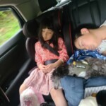 ㉙くろまめちゃん
「初のドライブ」