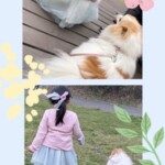 ⑬愛花ちゃん
「大きくなったね 素敵な時間」