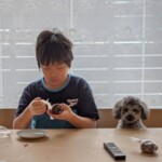 ①くろまめちゃん「ご飯まち」