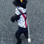 ⑲レオちゃん「二足歩行なら皆んな(人)とどこへでも行けるんでしょ♪」